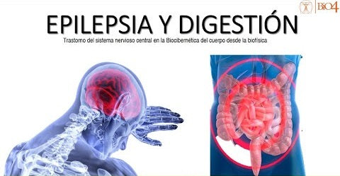 Epilepsia y digestión